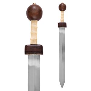 Pompeii gladius met schede